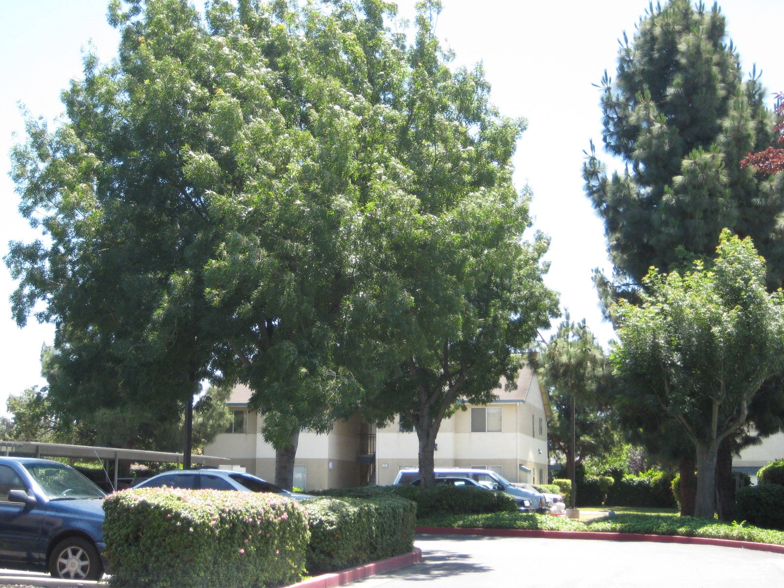 AUT Apartments photo 2